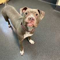 Thumbnail photo of Cantaloupe #2