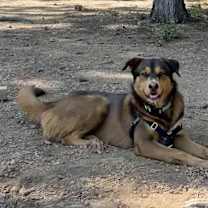 Thumbnail photo of Clark #4