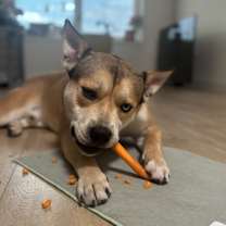 Thumbnail photo of Kyrie aka Ky #2