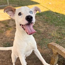 Thumbnail photo of Little Lady #1