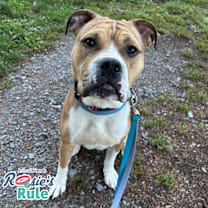 Thumbnail photo of Brother Eddie #1