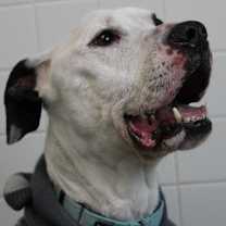 Thumbnail photo of Zebco #2