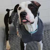 Thumbnail photo of Zebco #4