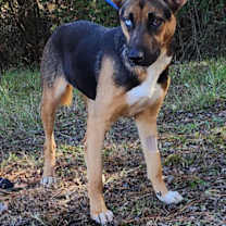 Thumbnail photo of 251629  Elvira #3