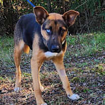 Thumbnail photo of 251629  Elvira #4