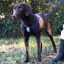 Thumbnail photo of 251549  Dax #2