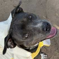 Thumbnail photo of Stormi #1