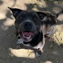 Thumbnail photo of Stormi #2