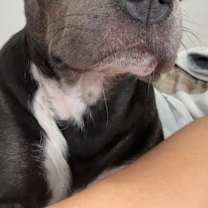 Thumbnail photo of Stormi #3