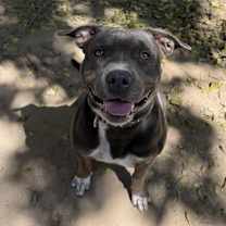 Thumbnail photo of Stormi #4