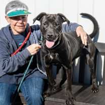 Thumbnail photo of Ciara #1