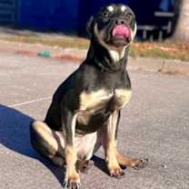 Thumbnail photo of Bella #1