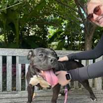 Thumbnail photo of Royalty #1