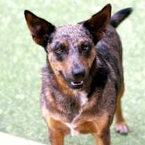 Thumbnail photo of Auburn #2