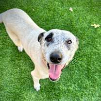 Thumbnail photo of Minnie #1