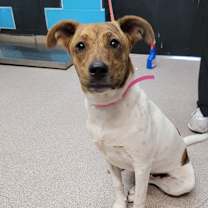 Thumbnail photo of Lucy Lu Lu  #3