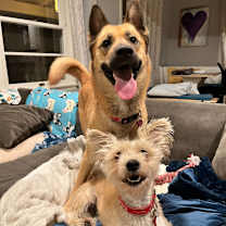 Thumbnail photo of Honey #4