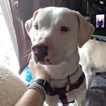 Thumbnail photo of Whisper #4