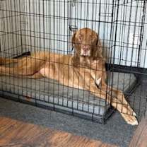 Thumbnail photo of Bogey #2