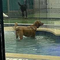 Thumbnail photo of Bogey #3