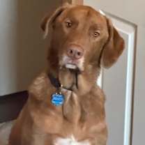 Thumbnail photo of Bogey #1