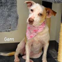 Thumbnail photo of Gem #1