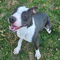 Thumbnail photo of Tessa #3