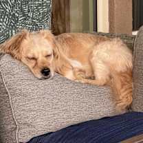 Thumbnail photo of Jack #4