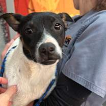 Thumbnail photo of Lola #2