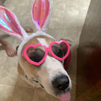 Thumbnail photo of Mia #1