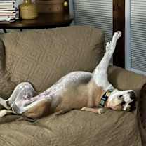 Thumbnail photo of Mia #2