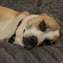 Thumbnail photo of Mia #4