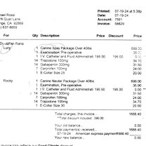 Thumbnail photo of Lucy #4