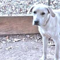 Thumbnail photo of Cletus #4