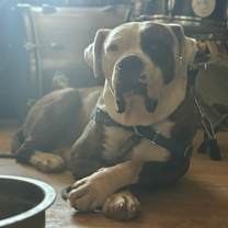 Thumbnail photo of Eddie #3