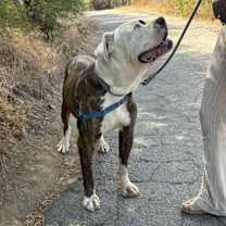 Thumbnail photo of Eddie #4