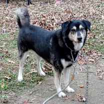 Thumbnail photo of Lilly #2