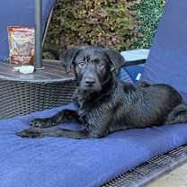 Thumbnail photo of Vi #4