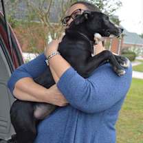 Thumbnail photo of EVER #3