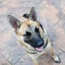 Thumbnail photo of Luna #1