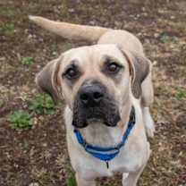 Thumbnail photo of Rain #1