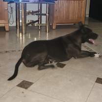 Thumbnail photo of Sugar #2