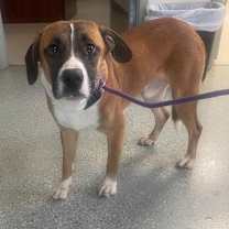 Thumbnail photo of Little Man #2