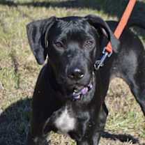 Thumbnail photo of ZEUS #1