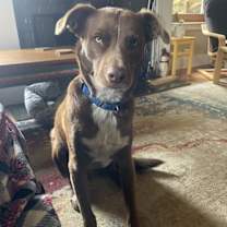 Thumbnail photo of Maui #3