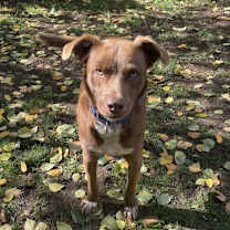 Thumbnail photo of Maui #4