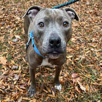 Thumbnail photo of Karma #2