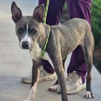 Thumbnail photo of Annie Wilks #1