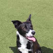 Thumbnail photo of Lloyd #4