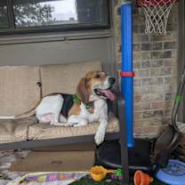 Thumbnail photo of Doofenschmirtz (New Digs) #2